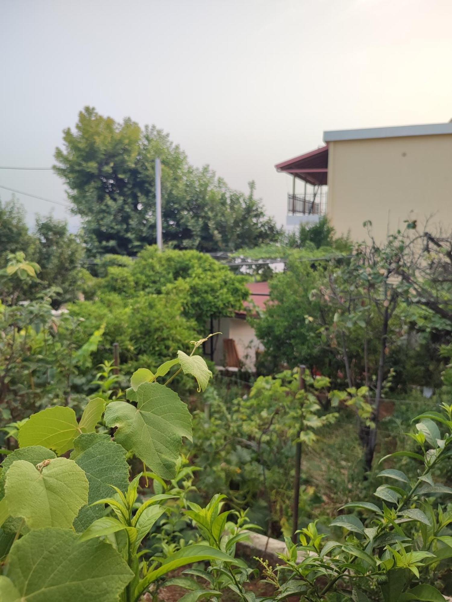Villa Janilla Dhermi Ngoại thất bức ảnh
