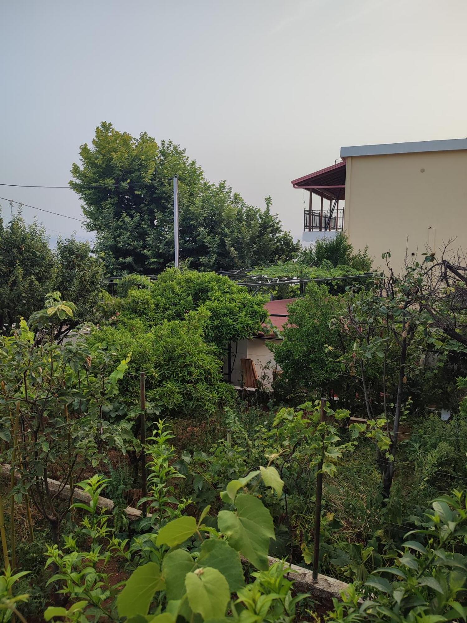 Villa Janilla Dhermi Ngoại thất bức ảnh